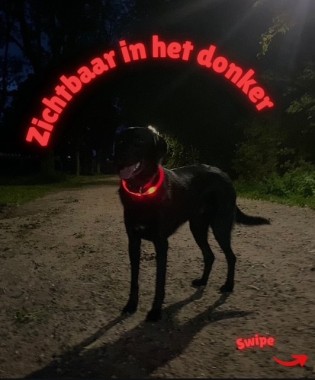 Goed zichtbaar in het donker!
