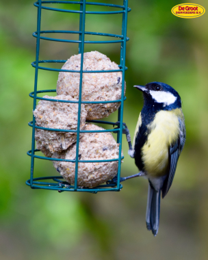 Doe het zelf! Vetbollen maken