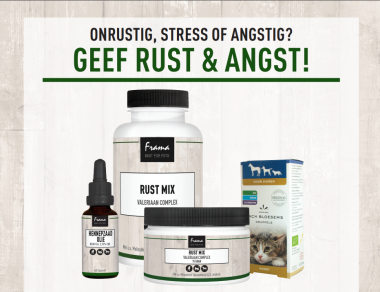 Rust en ontspanning voor je huisdier