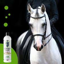 Cowboy Magic Shine In Yellow Out Shampoo
