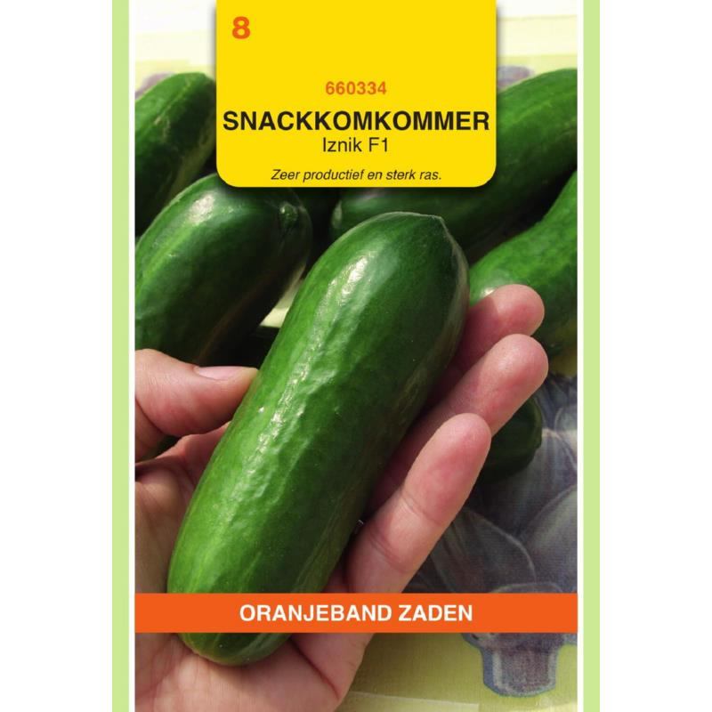 Snackkomkommer Iznik F1 Oranjeband 660334