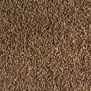 Foniopaddy Foniograan 1kg Vogro