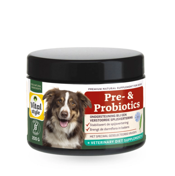 VitalStyle Pre- & Probiotics 200g prebiotica & probiotica