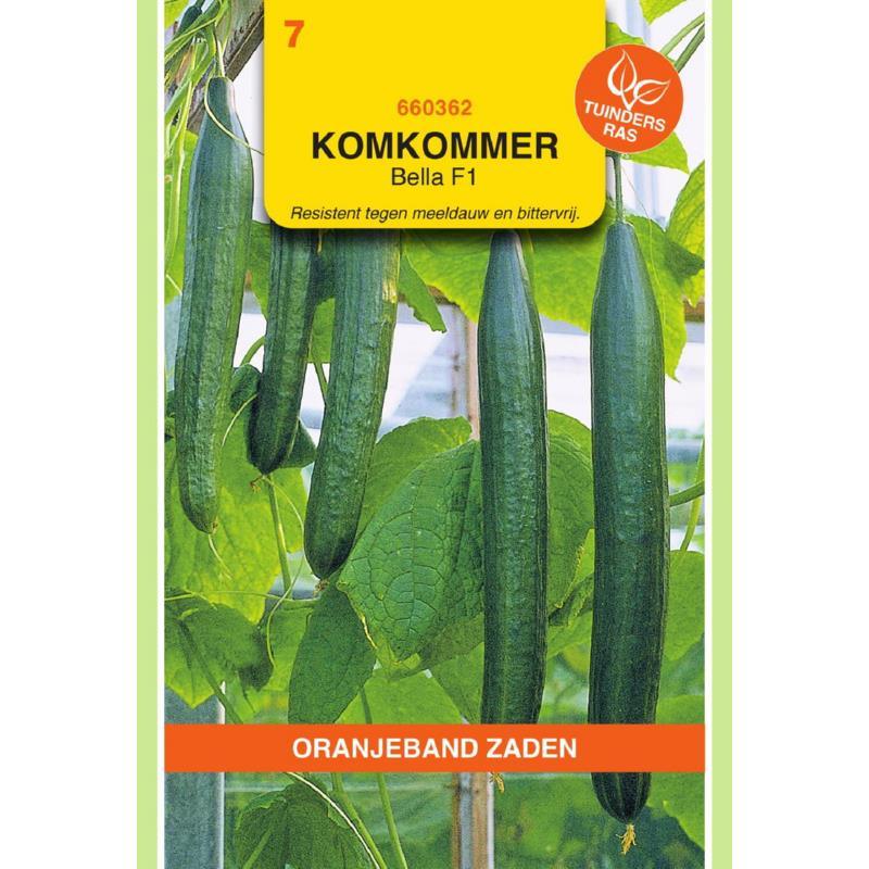 Komkommer Bella F1 7zdn Oranjeband 660362